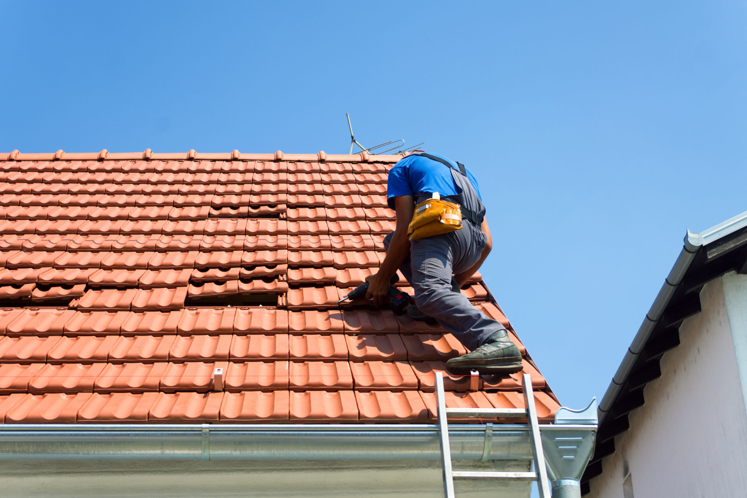 Dach- und Dachrinnenreinigung <br>und Reparatur
